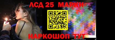 a pvp Гатчина
