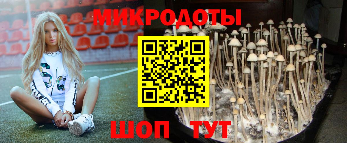 Псилоцибиновые грибы MAGIC MUSHROOMS  купить наркотики сайты  Миллерово  Вход с VPN 